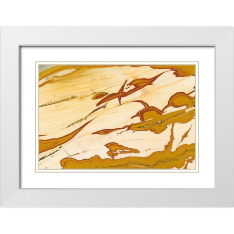Oregon Close-up of Owyhee Picture Jasper stone White Modern Wood Framed Art Print with Double Matting by Kirkland, Dennis