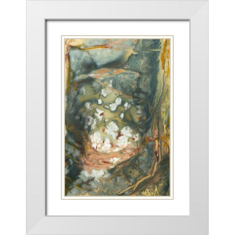 Oregon, Owyhee River Valley Morrisonite Jasper White Modern Wood Framed Art Print with Double Matting by Kirkland, Dennis