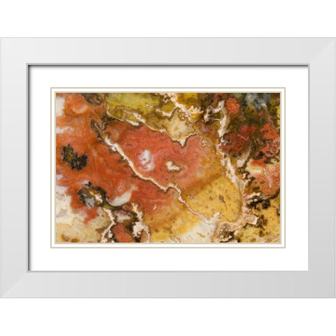 Oregon Graveyard Point Plume Agate stone White Modern Wood Framed Art Print with Double Matting by Kirkland, Dennis