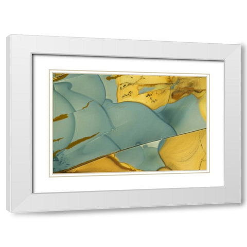 Oregon, Owyhee River Valley Morrisonite Jasper White Modern Wood Framed Art Print with Double Matting by Kirkland, Dennis
