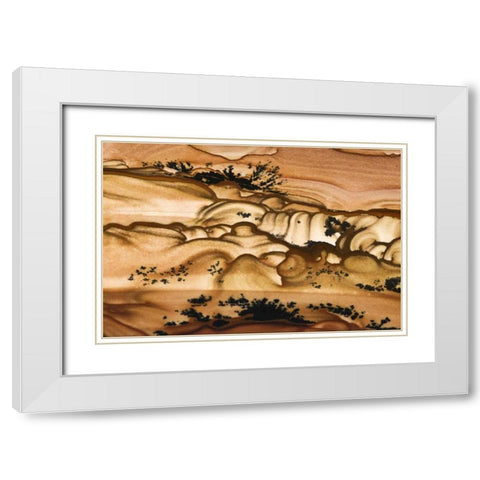 Oregon Close-up of Biggs Picture Jasper stone White Modern Wood Framed Art Print with Double Matting by Kirkland, Dennis