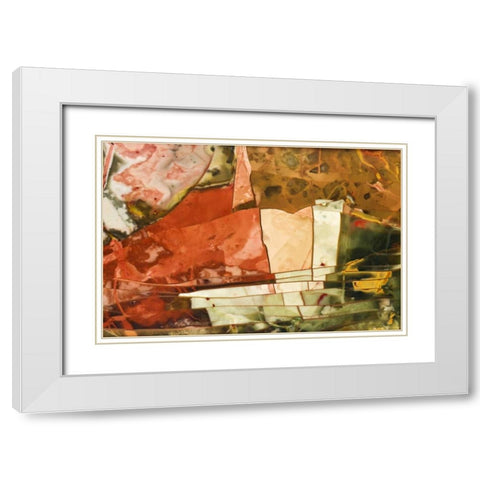 Oregon, Owyhee River Valley Morrisonite Jasper White Modern Wood Framed Art Print with Double Matting by Kirkland, Dennis