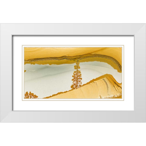Oregon Close-up of Owyhee Picture Jasper stone White Modern Wood Framed Art Print with Double Matting by Kirkland, Dennis
