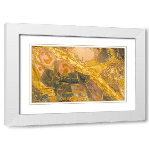Oregon, Owyhee River Valley Morrisonite Jasper White Modern Wood Framed Art Print with Double Matting by Kirkland, Dennis