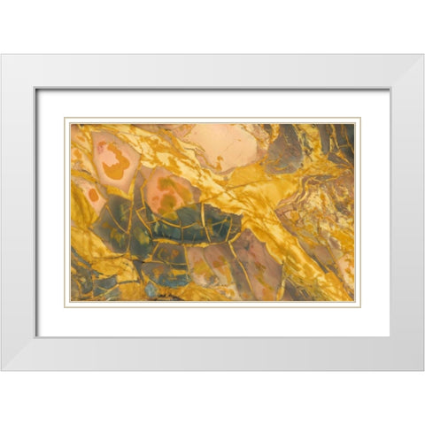Oregon, Owyhee River Valley Morrisonite Jasper White Modern Wood Framed Art Print with Double Matting by Kirkland, Dennis