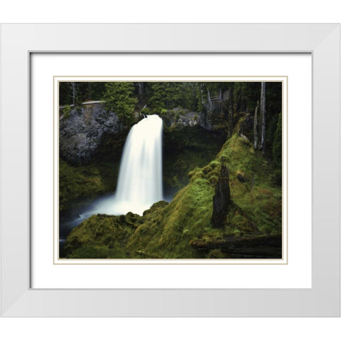 OR, Cascades Waterfall on the McKenzie River White Modern Wood Framed Art Print with Double Matting by Flaherty, Dennis