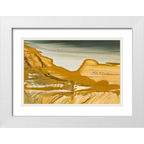 Oregon, Owyhee Close-up of picture jasper stone White Modern Wood Framed Art Print with Double Matting by Kirkland, Dennis