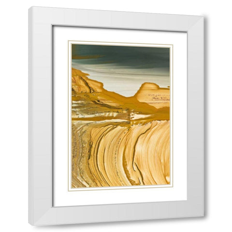 Oregon, Owyhee Close-up of picture jasper stone White Modern Wood Framed Art Print with Double Matting by Kirkland, Dennis