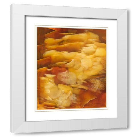 USA, Oregon Close-up of red flake agate stone White Modern Wood Framed Art Print with Double Matting by Kirkland, Dennis