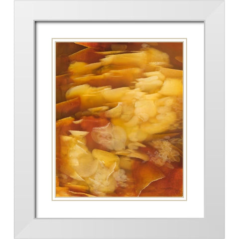 USA, Oregon Close-up of red flake agate stone White Modern Wood Framed Art Print with Double Matting by Kirkland, Dennis