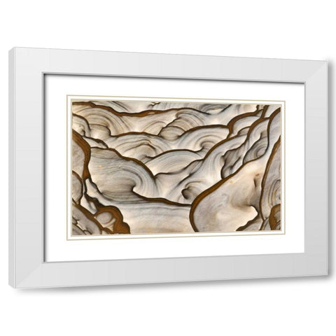 Oregon, Biggs Close-up of picture jasper stone White Modern Wood Framed Art Print with Double Matting by Kirkland, Dennis