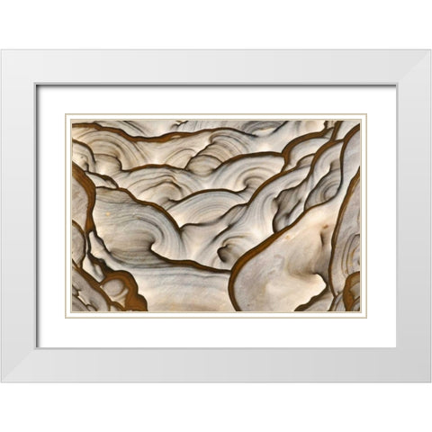 Oregon, Biggs Close-up of picture jasper stone White Modern Wood Framed Art Print with Double Matting by Kirkland, Dennis