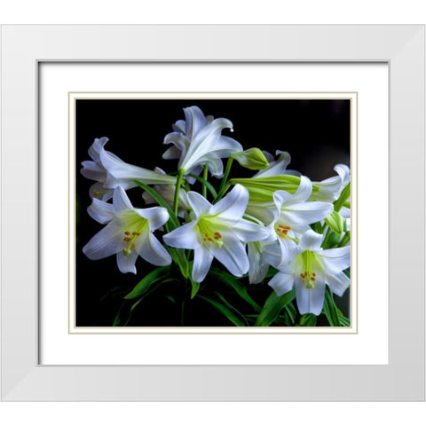 USA, Oregon Close-up of Easter lilies White Modern Wood Framed Art Print with Double Matting by Carter, Jean