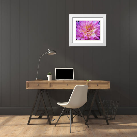 Oregon Abstract of digitally altered pink dahlia White Modern Wood Framed Art Print with Double Matting by Carter, Jean