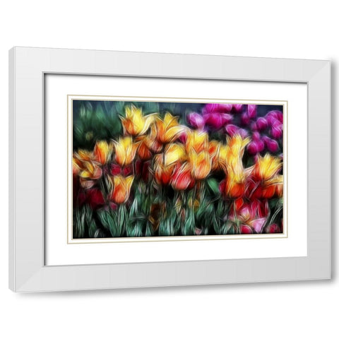 USA, Oregon Abstract of digitally altered tulips White Modern Wood Framed Art Print with Double Matting by Carter, Jean