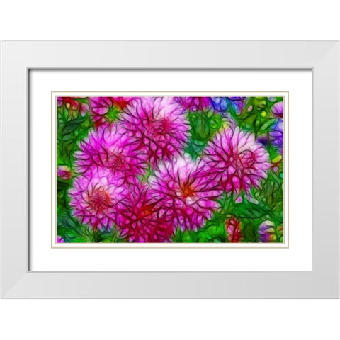 Oregon Abstract of pink dahlias White Modern Wood Framed Art Print with Double Matting by Carter, Jean
