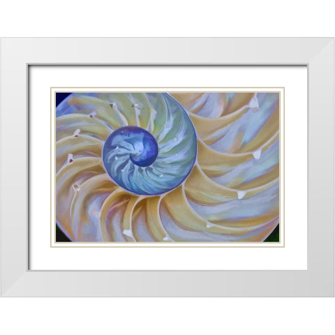 Oregon Chambered nautilus cut in half White Modern Wood Framed Art Print with Double Matting by Carter, Jean