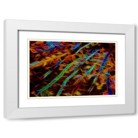 OR, Bandon Abstract of Pacific sea kelp White Modern Wood Framed Art Print with Double Matting by Carter, Jean