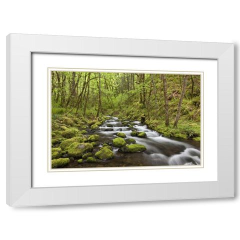 Oregon, Columbia River Gorge Gorton Creek White Modern Wood Framed Art Print with Double Matting by Paulson, Don
