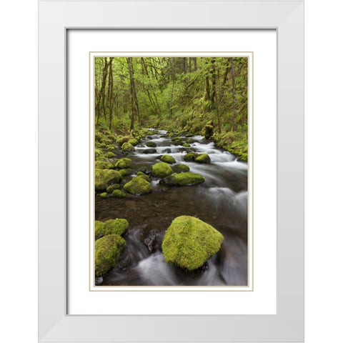 Oregon, Columbia River Gorge Gorton Creek White Modern Wood Framed Art Print with Double Matting by Paulson, Don