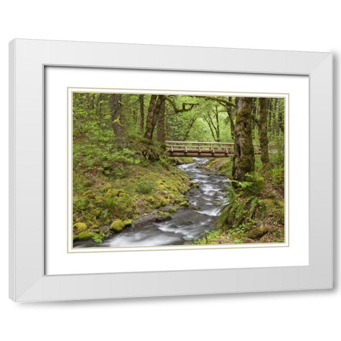 OR, Columbia Gorge Wooden bridge over Creek White Modern Wood Framed Art Print with Double Matting by Paulson, Don