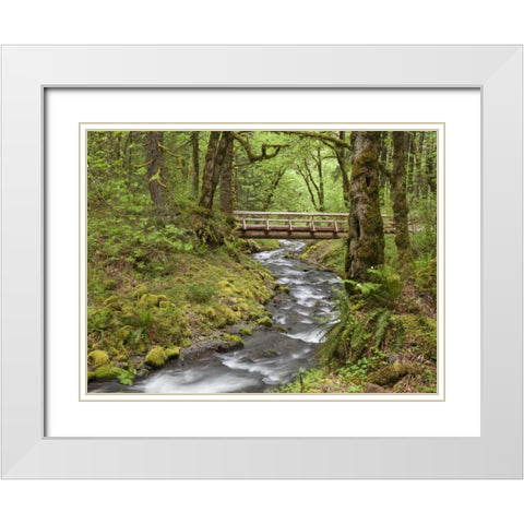 OR, Columbia Gorge Wooden bridge over Creek White Modern Wood Framed Art Print with Double Matting by Paulson, Don