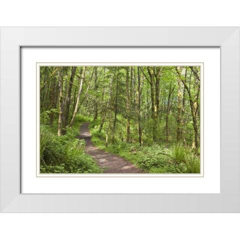 Oregon, Columbia River Gorge Elowah Falls Trail White Modern Wood Framed Art Print with Double Matting by Paulson, Don