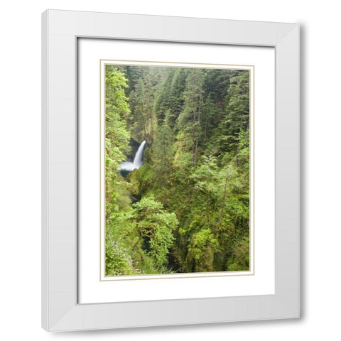 OR, Columbia Gorge Metlako Falls White Modern Wood Framed Art Print with Double Matting by Paulson, Don