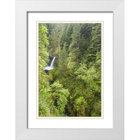 OR, Columbia Gorge Metlako Falls White Modern Wood Framed Art Print with Double Matting by Paulson, Don