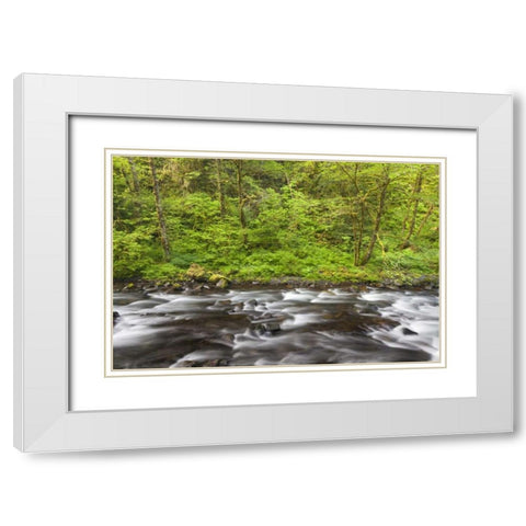 Oregon, Columbia River Gorge Tanner Creek White Modern Wood Framed Art Print with Double Matting by Paulson, Don