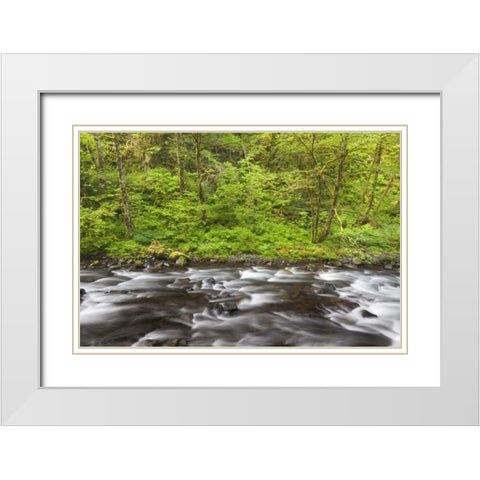 Oregon, Columbia River Gorge Tanner Creek White Modern Wood Framed Art Print with Double Matting by Paulson, Don