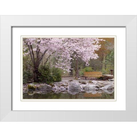 Oregon, Ashland Spring scenic in Lithia Park White Modern Wood Framed Art Print with Double Matting by Paulson, Don