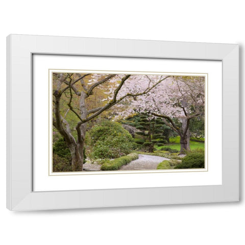 Oregon, Ashland Spring scenic in Lithia Park White Modern Wood Framed Art Print with Double Matting by Paulson, Don