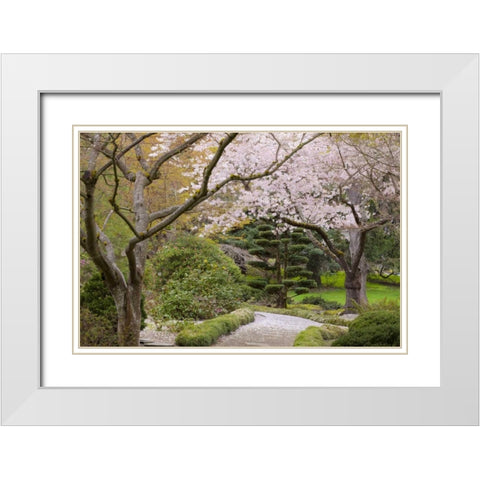 Oregon, Ashland Spring scenic in Lithia Park White Modern Wood Framed Art Print with Double Matting by Paulson, Don