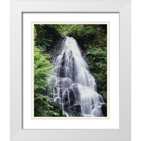 USA, Oregon, A Waterfall amongst ferns White Modern Wood Framed Art Print with Double Matting by Talbot Frank, Christopher
