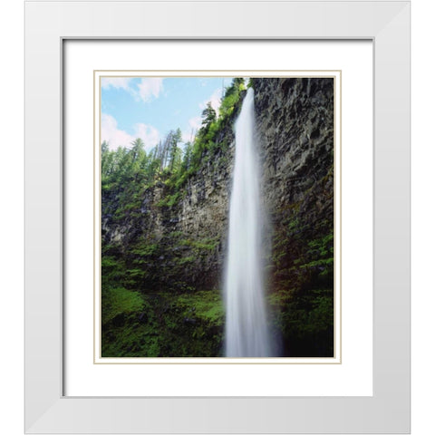 USA, Oregon, A waterfall in an old-growth forest White Modern Wood Framed Art Print with Double Matting by Talbot Frank, Christopher