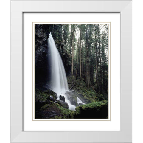 USA, Oregon, A waterfall in an old-growth forest White Modern Wood Framed Art Print with Double Matting by Talbot Frank, Christopher