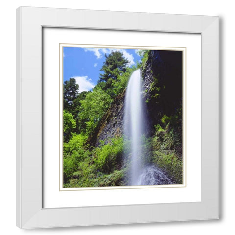 Oregon, A waterfall in the mountains White Modern Wood Framed Art Print with Double Matting by Talbot Frank, Christopher
