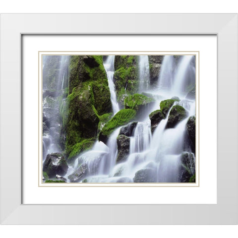 USA, Oregon, Mount Hood, Ramona Falls White Modern Wood Framed Art Print with Double Matting by Talbot Frank, Christopher