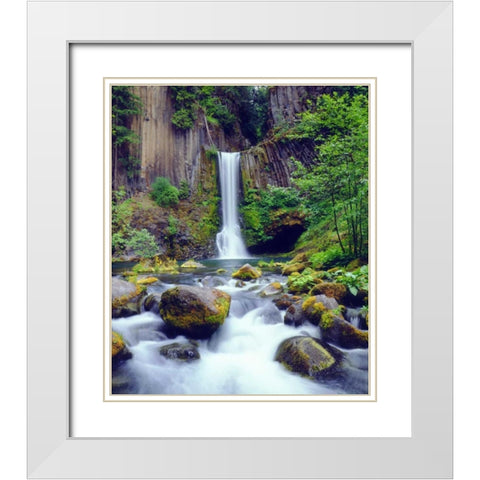 Oregon, Toketee Waterfall and Basalt Formation White Modern Wood Framed Art Print with Double Matting by Talbot Frank, Christopher
