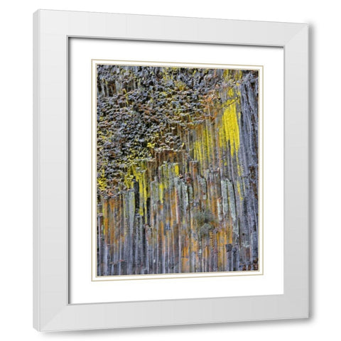 OR, Columnar basalt covered with lichen White Modern Wood Framed Art Print with Double Matting by Terrill, Steve