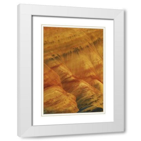 Oregon, John Day Fossil Beds NM Painted Hills White Modern Wood Framed Art Print with Double Matting by Terrill, Steve