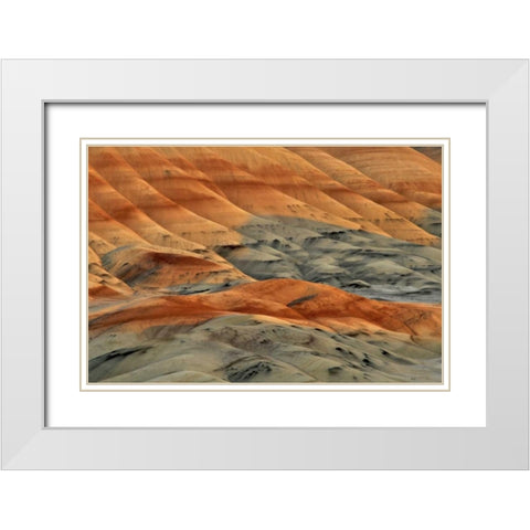 Oregon, John Day Fossil Beds NM Painted Hills White Modern Wood Framed Art Print with Double Matting by Terrill, Steve