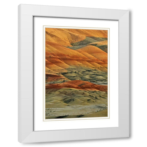 Oregon, John Day Fossil Beds NM Painted Hills White Modern Wood Framed Art Print with Double Matting by Terrill, Steve