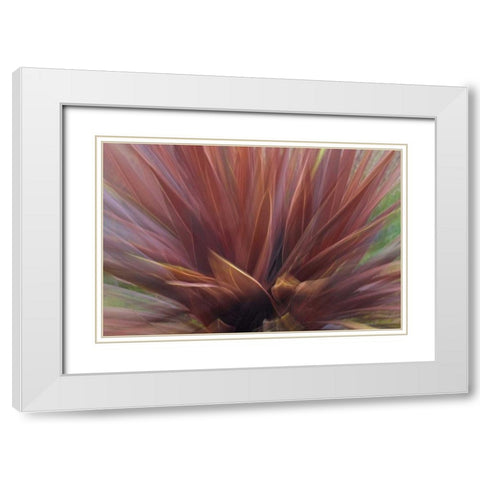 USA, Oregon, Portland Abstract of red flax plant White Modern Wood Framed Art Print with Double Matting by Terrill, Steve