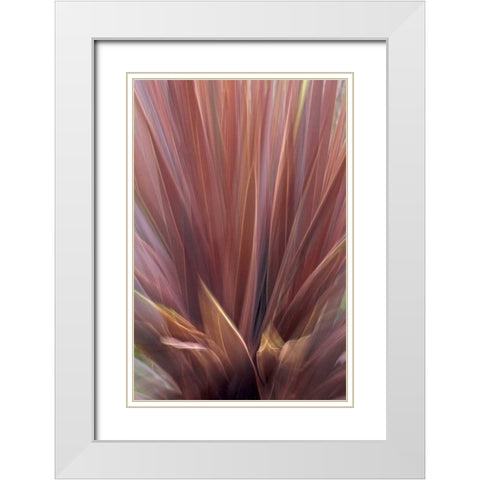 USA, Oregon, Portland Abstract of red flax plant White Modern Wood Framed Art Print with Double Matting by Terrill, Steve