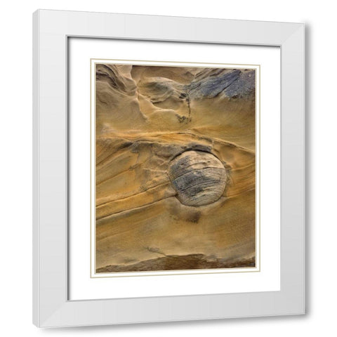 OR, Shore Acres SP Round rock in sandstone White Modern Wood Framed Art Print with Double Matting by Terrill, Steve