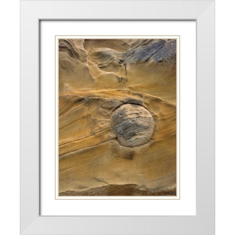 OR, Shore Acres SP Round rock in sandstone White Modern Wood Framed Art Print with Double Matting by Terrill, Steve