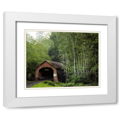 OR, Yachats River, Covered bridge over North Fork White Modern Wood Framed Art Print with Double Matting by Terrill, Steve
