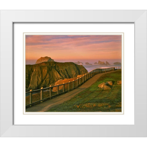 OR, Bandon Rocks viewed from trail to beach White Modern Wood Framed Art Print with Double Matting by Terrill, Steve